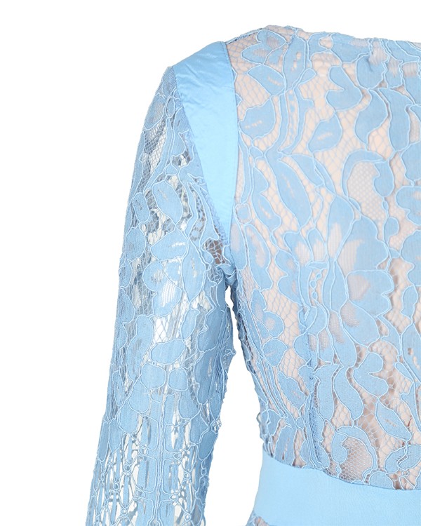 eyelash lace overlay plunge neck bodycon dress