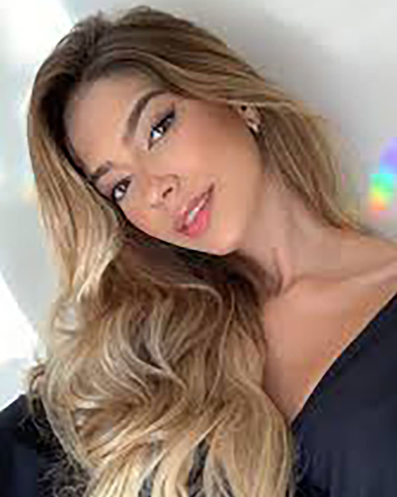 

Long Water Wave Hair Wigs Ombre Synthetic Hair Wigs, Brown