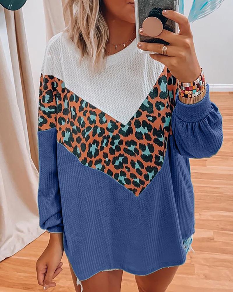 

Cheetah Print Colorblock Lantern Sleeve Sweater, Blue