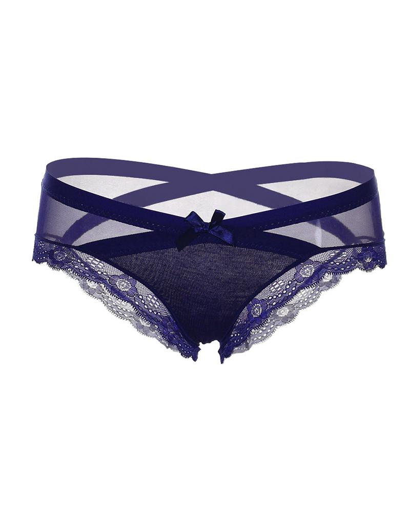 

Lace Trim Sheer Mesh Bowknot Panty, Dark blue